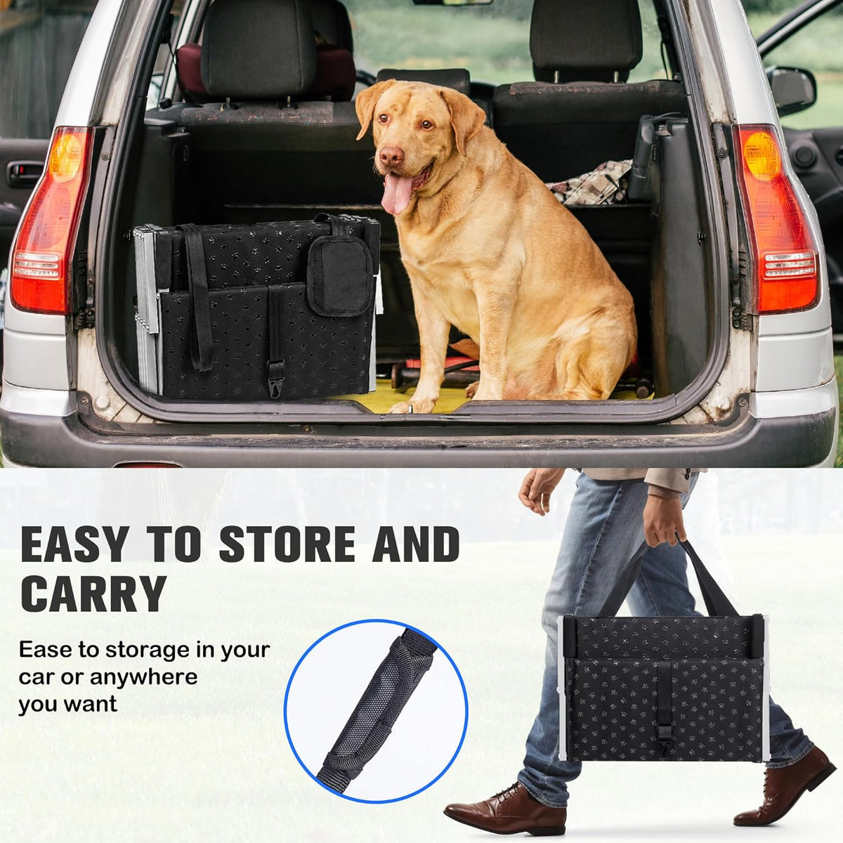Dog Ramps for Cars